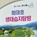 밀성로 이미지