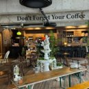 중마애견 이미지