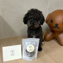 호이해이 이미지