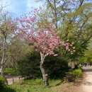 미당시문학관 | 18.4.21.-22. / 전북 고창군 여행 - 선운사 + 미당 시 문학관 + 청보리밭 + 고창 읍성