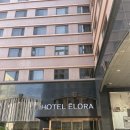 서천로 | 용인 가성비 숙소 ‘호텔 엘로라’ (5만원대 내돈내산 후기)