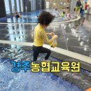 엑스포 노래연습장 | 경주농협 교육원 스파 수영장 6인실 후기