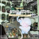 해리농협상하지점 | 상하이 여행 가볼만한곳 쇼핑 기념품 추천 팝마트 난징동루