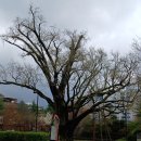 일만배PC | 옛 직장 담당 과장 및 동료와 만난 날(4월 10일, 금)