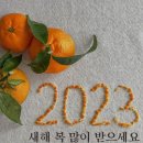 솔우 이미지
