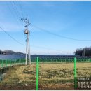 제주양돈축산업협동조합 제주도니유전센터 이미지