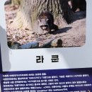 임실자연농원