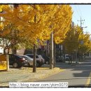 이가네동태요리전문점 이미지