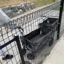 메리도그하우스 이미지