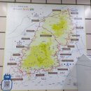 유신펜션 이미지