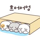 상춘상회