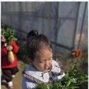 신곡어린이집