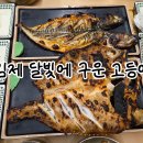 달인고등어구이전문점 티스토리
