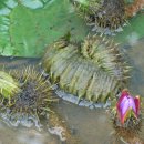 해평 금호리 이미지