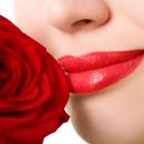 RoseDay 이미지