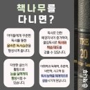 책나무버드내독서학원