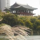 태화루주유소 이미지