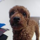 H8001 이미지