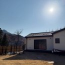 테이펫