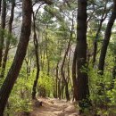 강남영상의학과 Daum카페
