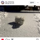 아무것도 아닌 건 아무것도 없댔어