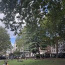 세븐바(SEVEN BAR) | Week 2, September / 질라르도 굴(Gillardeau Oyster) 후기, 도버 스트리트 마켓, 세븐 다이얼스 마켓