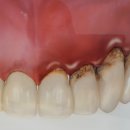 덴탈365치과의원 이미지