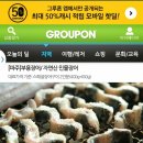 부용장어 이미지