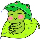 술Zari(술자리) 이미지