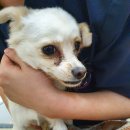 아이들 동물병원 이미지