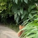 (주)우리홀푸드마트 언양점 | 일상은 내 숙제가 되