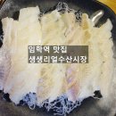 생생리얼수산시장 이미지