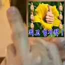 철든돼지 | 카시오 엑슬림 EX-Z250 작례 | 양념이 기깔나는 초량 은하갈비와 술