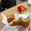 악마푸드 | 롯데리아 디진다 돈까스 매운맛 솔직 후기