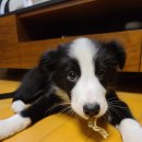 (주)스타몽 이미지