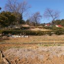 회성동161 이미지