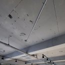 바디앤댄스 이미지