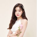 멥시 Daum카페