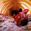 무드인디고 이미지