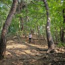 중원-100 이미지