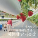 하늘애딸기농장