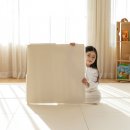 진매트 | 중문앞 매트시공 고민이라면 파크론제로블럭으로 시공하고 집전체가 밝아진 오산층간소음매트 후기