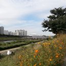 석수역1번출구 앞 이미지