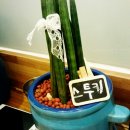 김밥앤돈까스 이미지