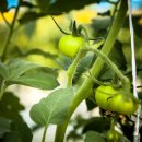 신동1구 이미지