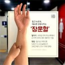 일본 워홀 16주 차 - 나만의 블랙스완 당신을 보고 첫눈에 반했습니다