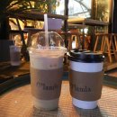 강릉 오란다 이미지