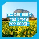 41190-01-07-309 | 대구_특가_제주도_3박4일 #관광패키지 #석조 / 대구출발 제주도 패키지 3박4일