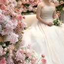 전주 감성 웨딩스냅 추천｜아이폰스냅 시에스냅 후기 총정리