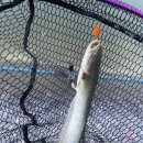 소금강가족낚시터 이미지